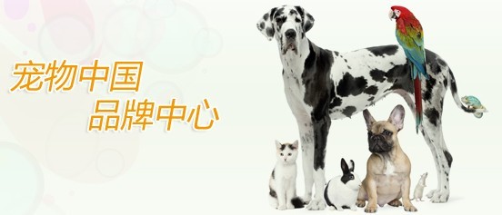 衛(wèi)仕寵物食品 網(wǎng)絡(luò)銷售策略與消費(fèi)者選擇分析
